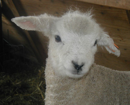 Nadine's precious girl