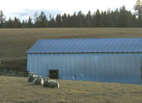 Sisters Emma, Sally, & Pearl
