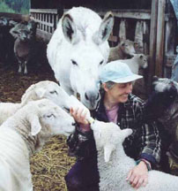 The shepherdess is popular today