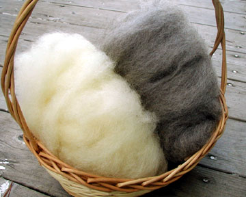 Roving from SkyLines pampered sheep