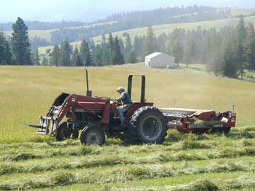 Mowing hay at SkyLinesFarm